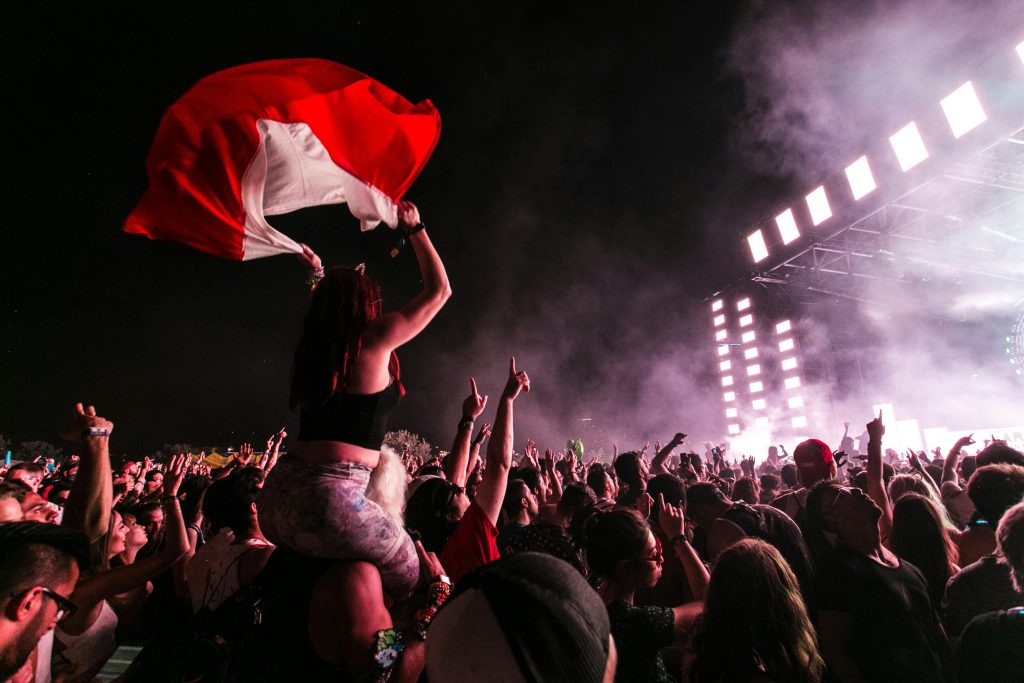 Energetic concert crowd with flag waving during a live music performance at night.